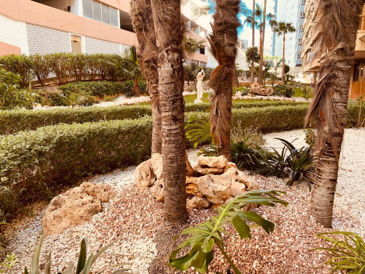 Be Luxury Apartment 20 Mts From The Beach Benidorm Ngoại thất bức ảnh